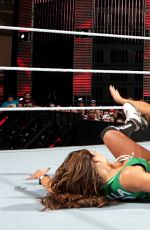 WWE - Royal Rumble 2015