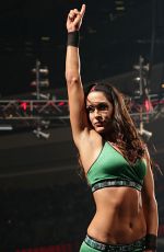 WWE - Royal Rumble 2015