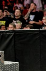 AJ LEE Pictures Gallery