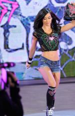 AJ LEE Pictures Gallery