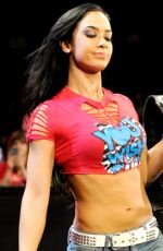 AJ LEE Pictures Gallery