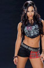 AJ LEE Pictures Gallery