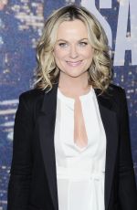 AMY POEHLER at SNL 40th Anniversary Celebration in New York