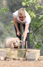 AMY SMART Out with Her Dog at a Park in Beverly Hills