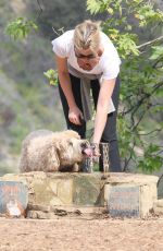 AMY SMART Out with Her Dog at a Park in Beverly Hills
