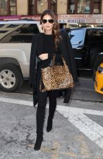 LILY ALDRIDGE Out and About in New York 0502