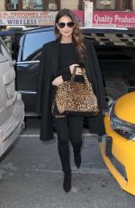LILY ALDRIDGE Out and About in New York 0502