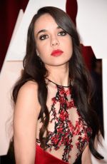 LORELEI LINKLATER at 87th Annual Academy Awards at the Dolby Theatre in Hollywood  Read more: http://www.hawtcelebs.com/search/87th/#ixzz3SgpfaNUQ