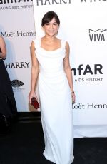 MICHELLE RODRIGUEZ at 2015 Amfar Gala in New York 