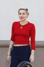 MILEY CYRUS Arrives at Trader Joe
