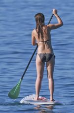 OLIVIA WILDE in Bikini Paddleboarding in Maui