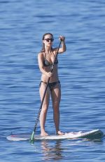 OLIVIA WILDE in Bikini Paddleboarding in Maui