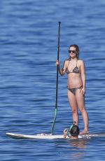 OLIVIA WILDE in Bikini Paddleboarding in Maui