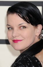 PAULEY PERRETTE at 2015 Grammy Awards in Los Angeles