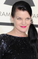 PAULEY PERRETTE at 2015 Grammy Awards in Los Angeles