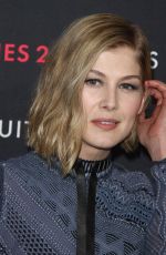 ROSAMUND PIKE at Louis Vuitton Series 2 Exhibition in Hollywood