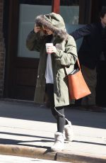 SIENNA MILLER Out and About in New York 1102