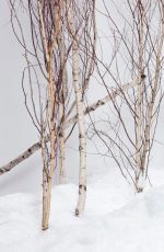 WWE - Apres Ski Divas Photoshoot