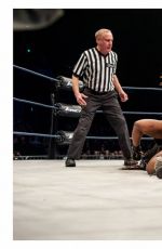 WWE - iMPACT Digitals 13th February