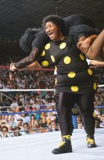 WWE - Trailblazing African-American Women of the Ring