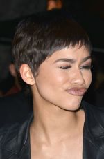 ZENDAYA at Republic Records Grammy After Party in Hollywood 2/8/2015