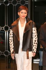 ZENDAYA COLEMAN Night Out in New York 1302