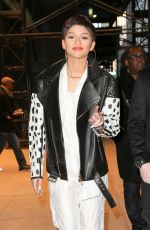 ZENDAYA COLEMAN Night Out in New York 1302