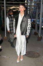 ZENDAYA COLEMAN Night Out in New York 1302