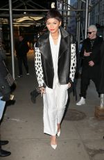 ZENDAYA COLEMAN Night Out in New York 1302