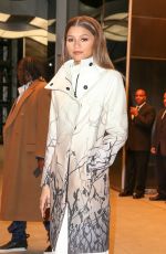 ZENDAYA Night Out in New York