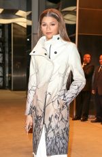 ZENDAYA Night Out in New York
