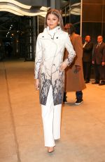 ZENDAYA Night Out in New York