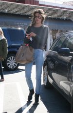 ALESSANDRA AMBROSIO Out for Lunch in Brentwood 0203