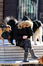 AMANDA SEYFRIED and Finn Out in New York 2203