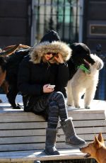 AMANDA SEYFRIED and Finn Out in New York 2203