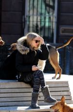 AMANDA SEYFRIED and Finn Out in New York 2203