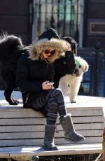 AMANDA SEYFRIED and Finn Out in New York 2203