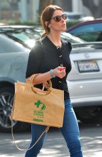 ASHLEY GREENE Leaves a Pet Clinic in Los Angeles