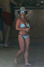 BRITNEY SPEARS in Bikini at a Beach in Hawaii 2603