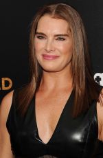 BROOKE SHIELDS at Woman in Gold Premiere in New York