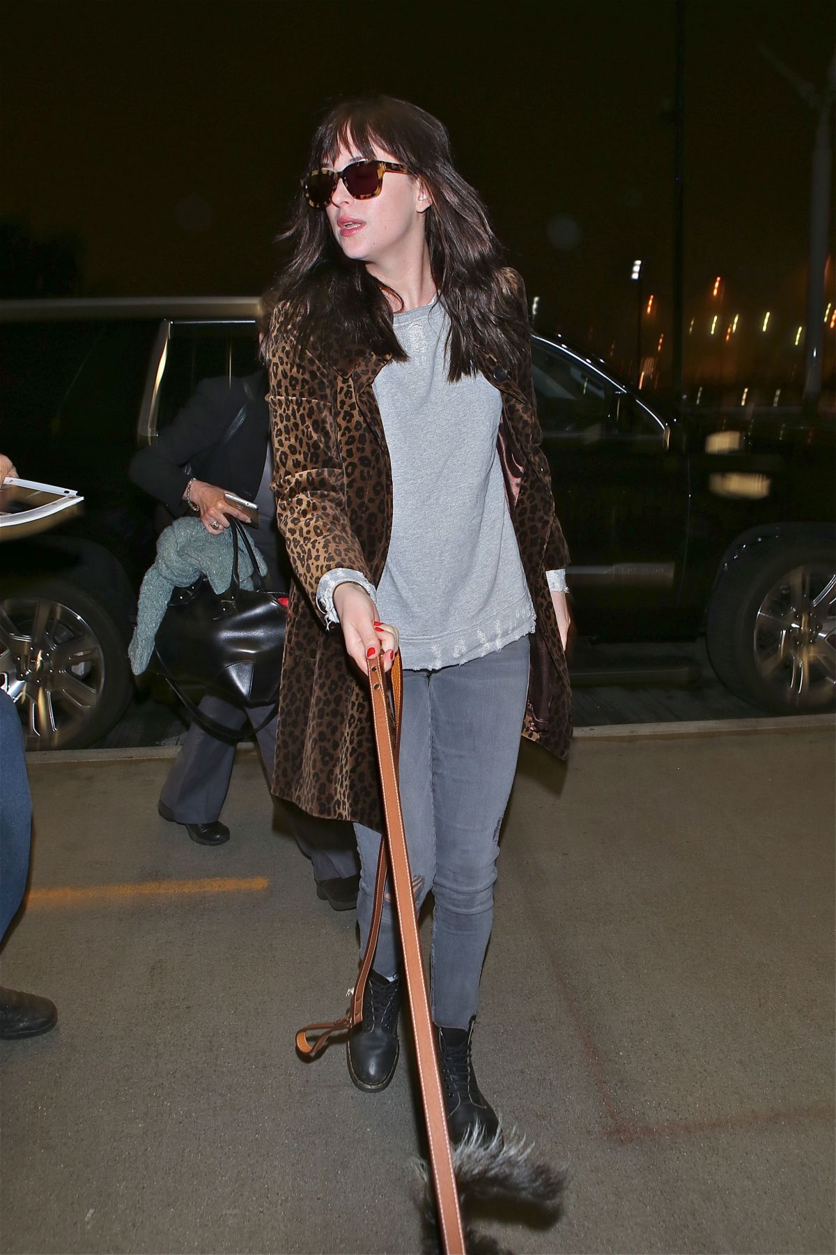 DAKOTA JOHNSON and Her Dog Arrives at Los Angeles International Airport DAKOTA JOHNSON and Her Dog Arrives at Los Angeles International Airport