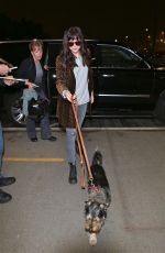 DAKOTA JOHNSON and Her Dog Arrives at Los Angeles International Airport