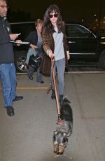 DAKOTA JOHNSON and Her Dog Arrives at Los Angeles International Airport