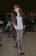 DAKOTA JOHNSON and Her Dog Arrives at Los Angeles International Airport