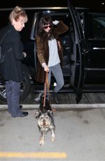 DAKOTA JOHNSON and Her Dog Arrives at Los Angeles International Airport