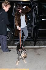 DAKOTA JOHNSON and Her Dog Arrives at Los Angeles International Airport