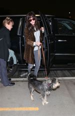 DAKOTA JOHNSON and Her Dog Arrives at Los Angeles International Airport