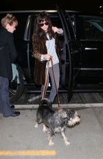 DAKOTA JOHNSON and Her Dog Arrives at Los Angeles International Airport