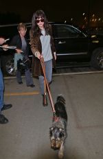 DAKOTA JOHNSON and Her Dog Arrives at Los Angeles International Airport