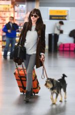 DAKOTA JOHNSON at JFK Airport